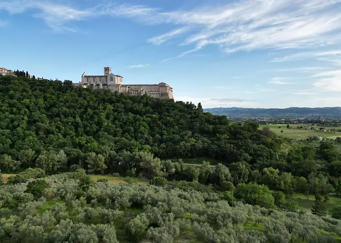 La Casa Tra Gli Ulivi